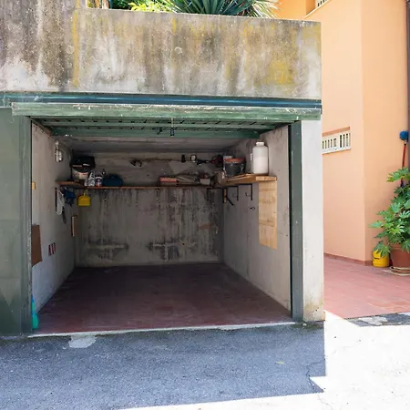 Into The Green! Garden House